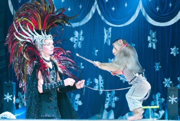 Лапундер Дима и его друзья