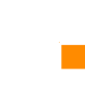 logotype SALT